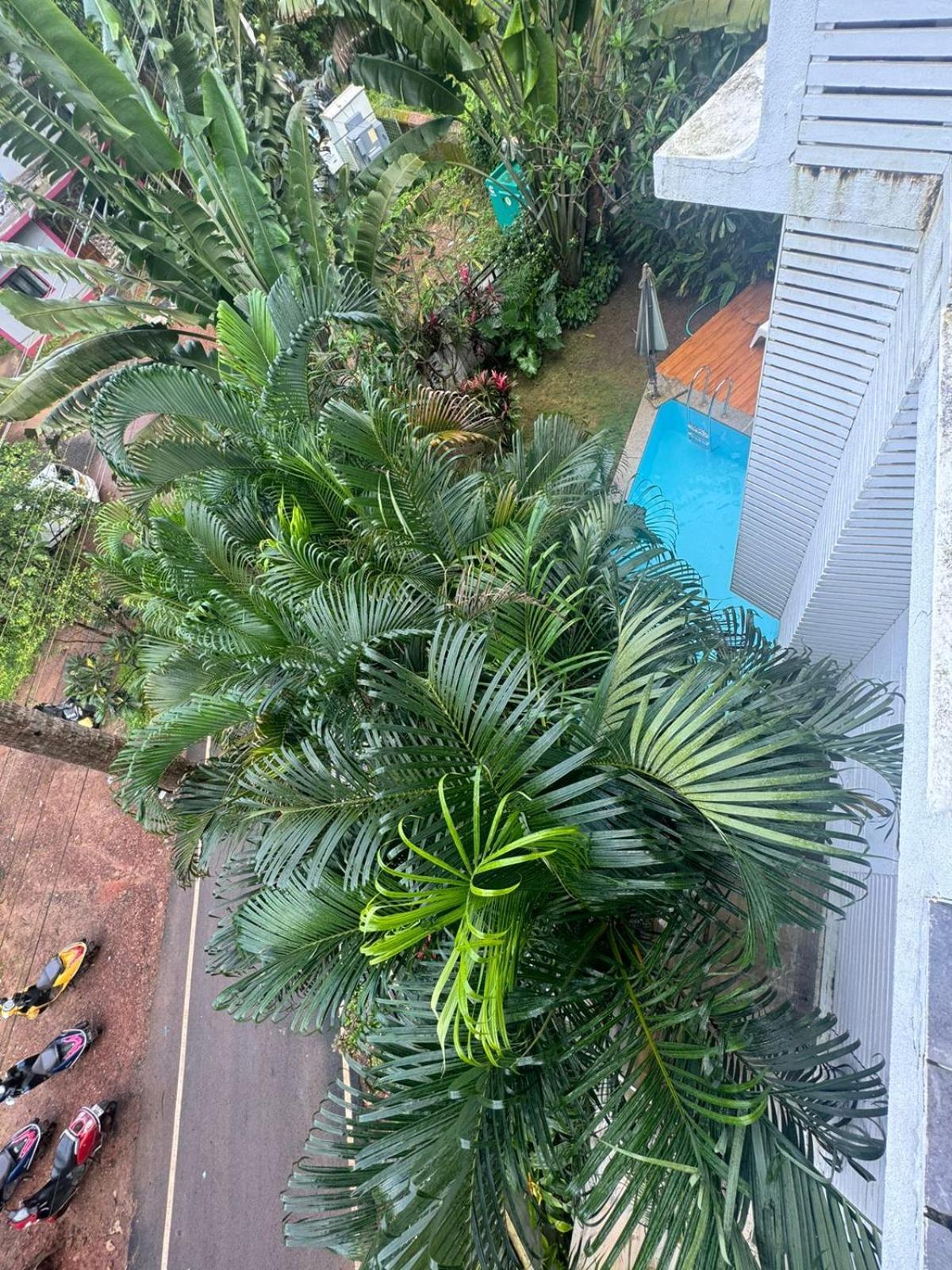 Half Hotel, Calangute Εξωτερικό φωτογραφία